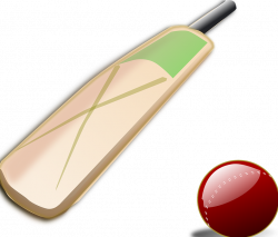 Tips for Buying New Cricket Bat | SMB Daily Info