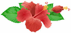 Red Flower PNG Clip Art Image - Best WEB Clipart