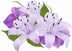 Purple Decorative Flowers PNG Clipart - Best WEB Clipart