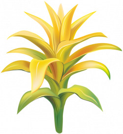 Yellow Exotic Flower Transparent Clip Art Image | Gallery ...