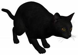 Cat Black PNG Clipart - Best WEB Clipart
