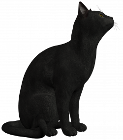 Black Cat PNG Clipart - Best WEB Clipart