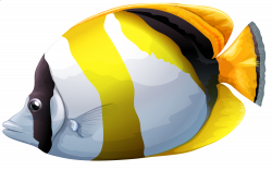 Chaetodon Butterfly Fish PNG Clipart - Best WEB Clipart