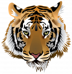 Tiger Head PNG Clip Art - Best WEB Clipart