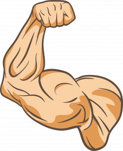 Muscle Physical fitness Thumb Clip art - The trainer's arm 2363*2898 ...