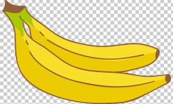 Banana Drawing Fruit PNG, Clipart, Banana, Banana Family ...