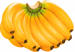 banana drawing png - Free PNG Images | TOPpng