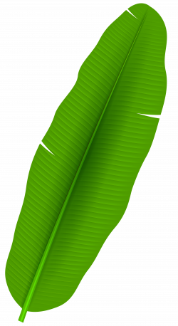 banana leaf clipart banana leaf silhouette - Clip Art. Net