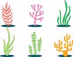 Coral Clip art - Colorful plants 4564*3589 transprent Png Free ...