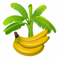 Clipart Banana Tree - Clip Art. Net