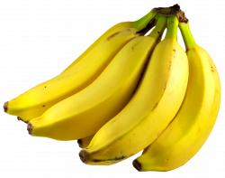 HQ Banana PNG Transparent Banana.PNG Images. | PlusPNG