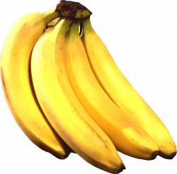 Four Bananas transparent PNG - StickPNG
