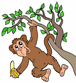 Chimpanzee Monkey Tree Clip art - The gorilla is hanging on a tree ...