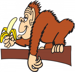 Ape With A Banana Clip Art at Clker.com - vector clip art online ...