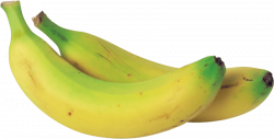 light green banana png - Free PNG Images | TOPpng