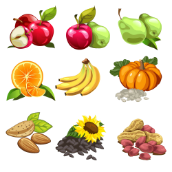 Nut Cartoon Fruit Illustration - Banana apple pear orange pumpkin ...