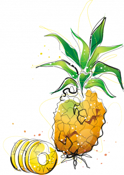 Pineapple Cartoon Drawing Clip art - Cartoon painted pineapple 674 ...