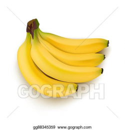 Vector Art - Realistic ripe bunch of bananas. Clipart ...