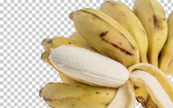 Banana Flavored Milk Saba Banana PNG, Clipart, Banana Chips ...