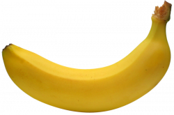 TOP 70+ Free Banana Clipart Image & Pictures Download 【2018】