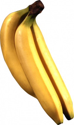 banana png - Free PNG Images | TOPpng