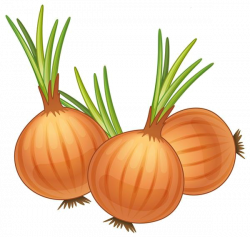 French onion soup Yellow onion Royalty-free Clip art - Cartoon onion ...