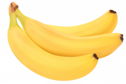 Bananas PNG Clipart Image | Gallery Yopriceville - High-Quality ...