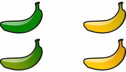 why you should eat green bananas - thehealthyblueberry