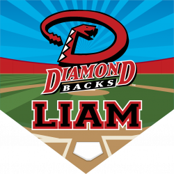 Diamondbacks Custom Home Plate Banner - Custom Baseball / Softball ...