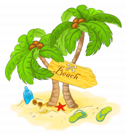 Transparent Beach Palm Decor PNG Clipart | Gallery Yopriceville ...