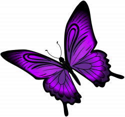 Purple Butterfly PNG Clip Art | Gallery Yopriceville - High-Quality ...
