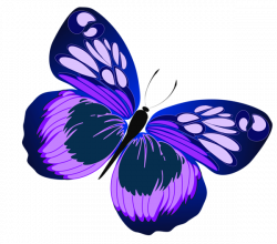 Blue and Purple Butterfly PNG Clipart | Gallery Yopriceville - High ...