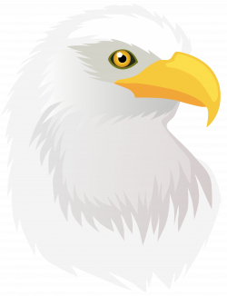 Eagle Head Transparent PNG Clip Art Image | Gallery Yopriceville ...