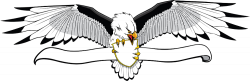 Bald Eagle Banner Clip art - Eagle wings 1000*327 transprent Png ...
