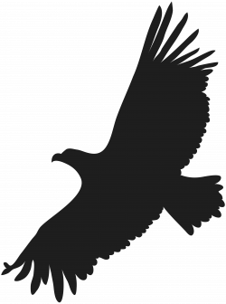 Flying Eagle PNG Clip Art Image | Gallery Yopriceville - High ...