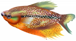 Orange Fish Transparent Clip Art Image | Gallery Yopriceville ...