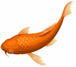 Orange Koi Fish Transparent Clip Art PNG Image | Gallery ...