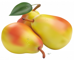 Pears PNG Clipart Picture | Gallery Yopriceville - High-Quality ...
