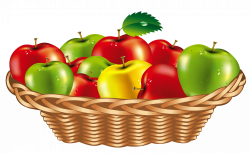 Fruit Basket PNG Clipart | Gallery Yopriceville - High-Quality ...