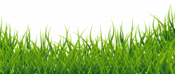Grass Clipart Picture | Gallery Yopriceville - High-Quality Images ...