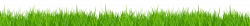 grass clipart no background - Google Search | Borders and Clip Art ...