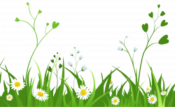 Daisies with Grass PNG Clipart Picture | Gallery Yopriceville ...