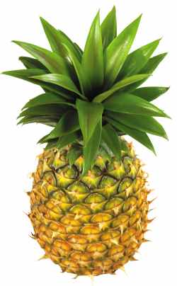 Pineapple PNG Clipart Picture | Gallery Yopriceville - High-Quality ...