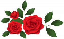Red Roses Decoration PNG Clip Art | Gallery Yopriceville - High ...