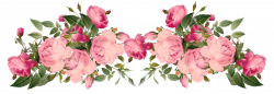 Pink Rose Borders | free pink | transparent floral images ...