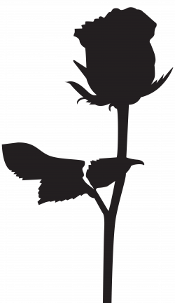 Rose Silhouette PNG Transparent Clip Art Image | Gallery ...