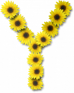 Alfabeto sunflowers .....Y | Alpha FLOWERS | Pinterest | Sunflowers ...