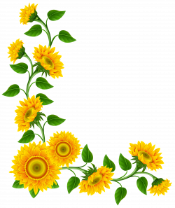 Sunflower Border Decoration PNG Clipart Image | Gallery ...