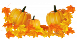 Transparent Thanksgiving Pumpkin Decor Clipart | Gallery ...
