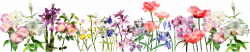 Flowers For A Banner Group (67+)